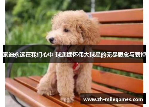 泰迪永远在我们心中 球迷缅怀伟大球星的无尽思念与哀悼