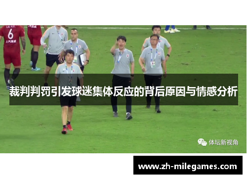 裁判判罚引发球迷集体反应的背后原因与情感分析