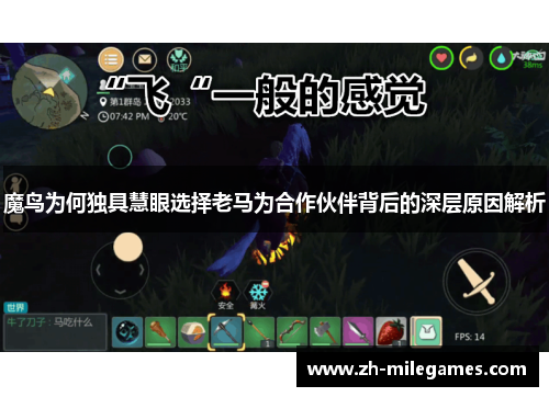 魔鸟为何独具慧眼选择老马为合作伙伴背后的深层原因解析