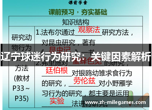 辽宁球迷行为研究：关键因素解析
