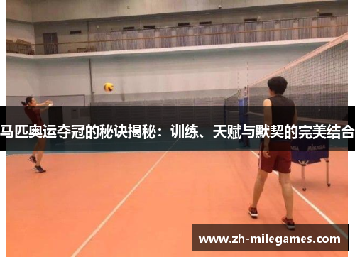 马匹奥运夺冠的秘诀揭秘：训练、天赋与默契的完美结合